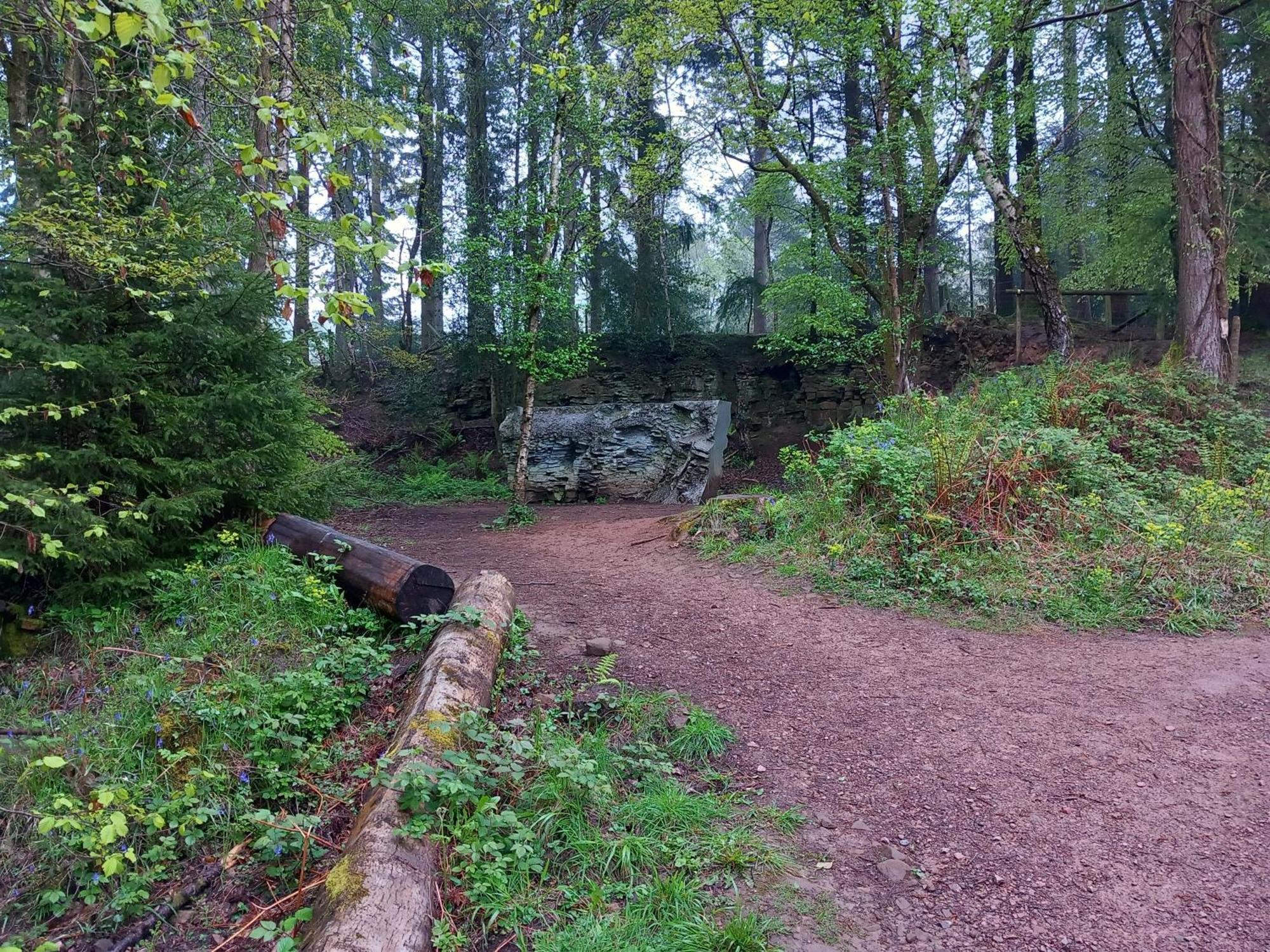 The Bungalow, Forest Of Dean Колефорд Экстерьер фото